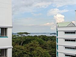 Blk 714 Pasir Ris Street 72 (Pasir Ris), HDB Executive #583999601